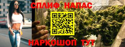 Альфа ПВП Пыть-Ях