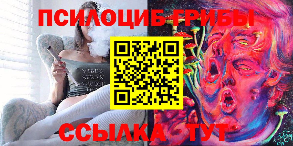 Псилоцибиновые грибы мицелий  Вход с VPN  Ртищево 
